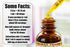 Witch Hazel Alcohol-Free Liquid Extract, Witch Hazel (Hamamelis Virginiana) Dried Leaf Glycerite Natural Herbal Supplement, Hawaii Pharm, USA 2 fl.oz